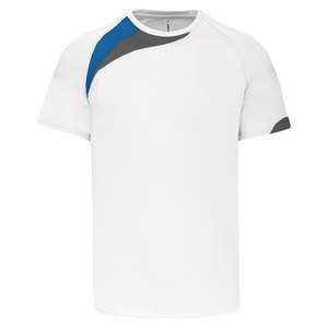 ProAct PA436 - SHORT SLEEVE SPORTS T-SHIRT White / Sporty Royal Blue / Storm Grey