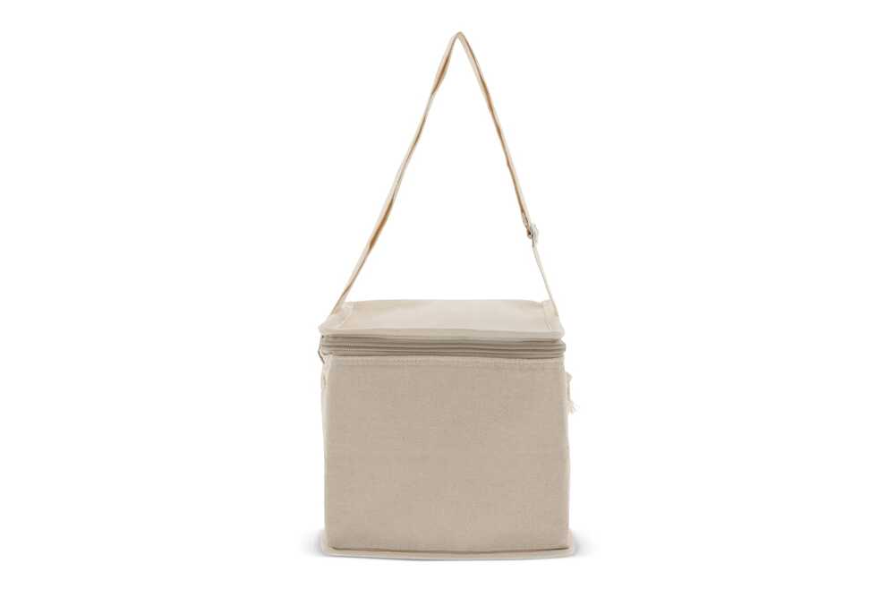 TopEarth LT95264 - Cooler bag 100% cotton outside square 22x18x18cm