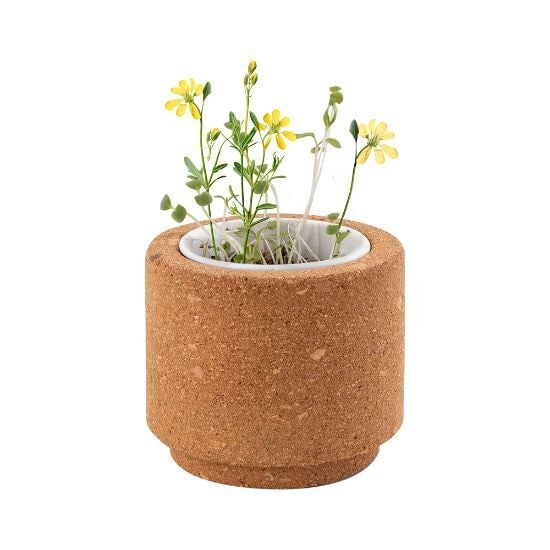 EgotierPro 53531K - Cork Pot with Wild Flower Seeds LUWA